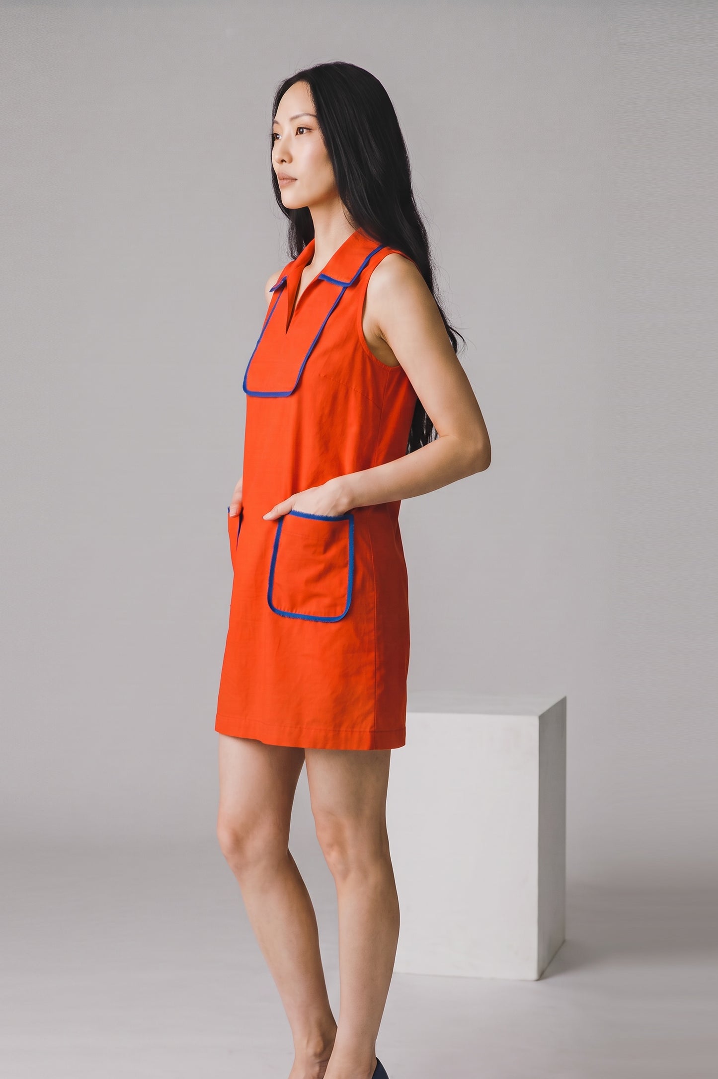 Fashion Flare Edit Dress