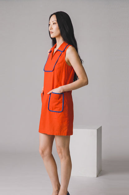 Fashion Flare Edit Dress