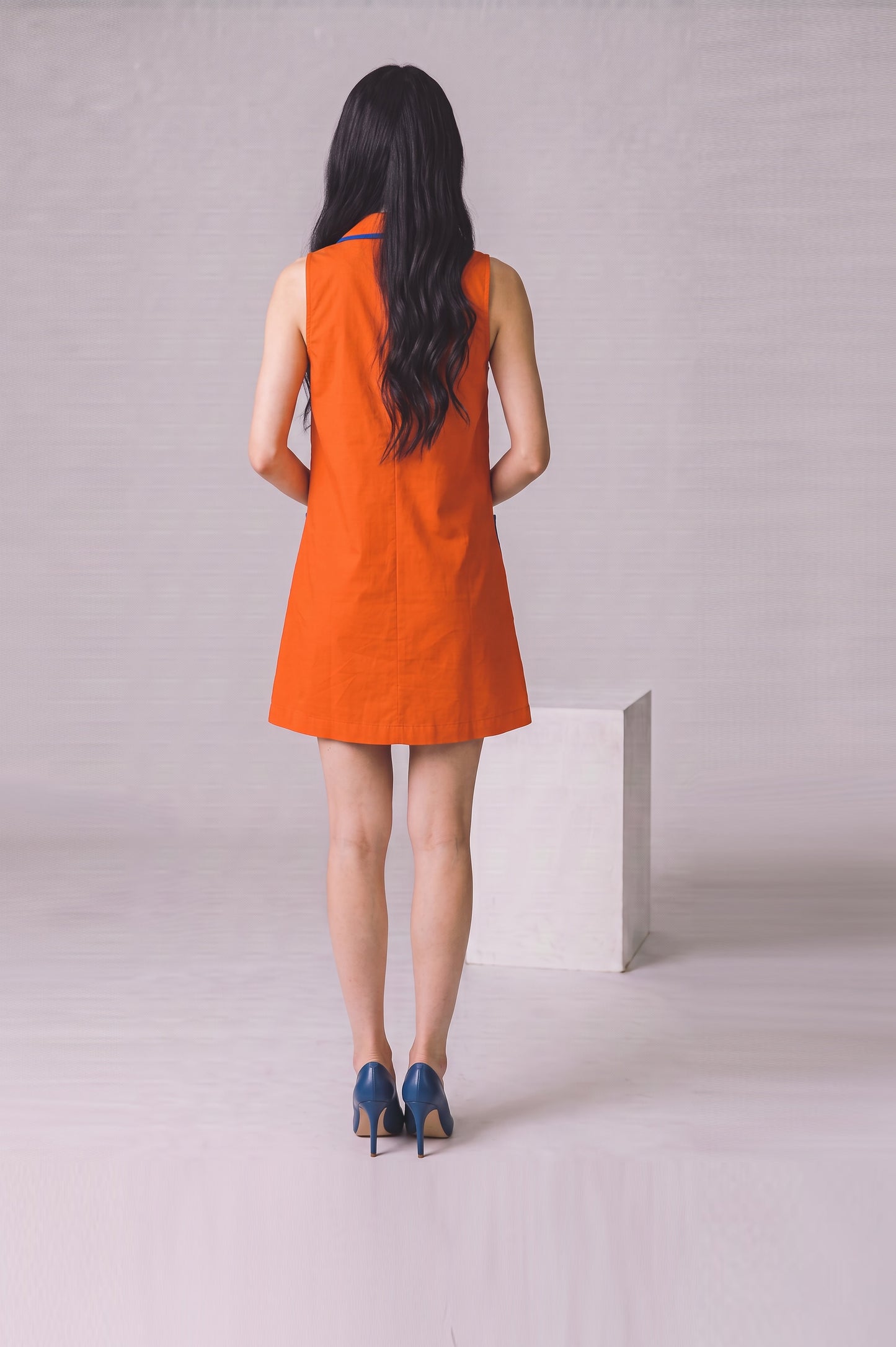 Fashion Flare Edit Dress