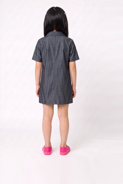 Little Flare Dress